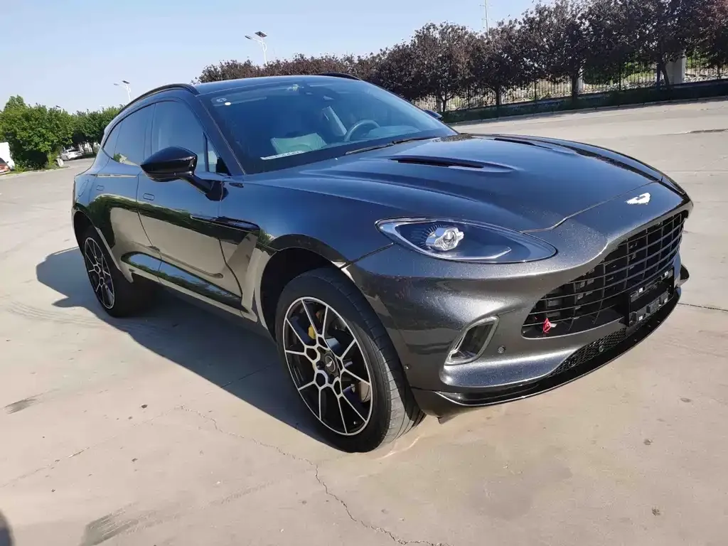 Aston Martin DBX 2021 из CN, фото 8