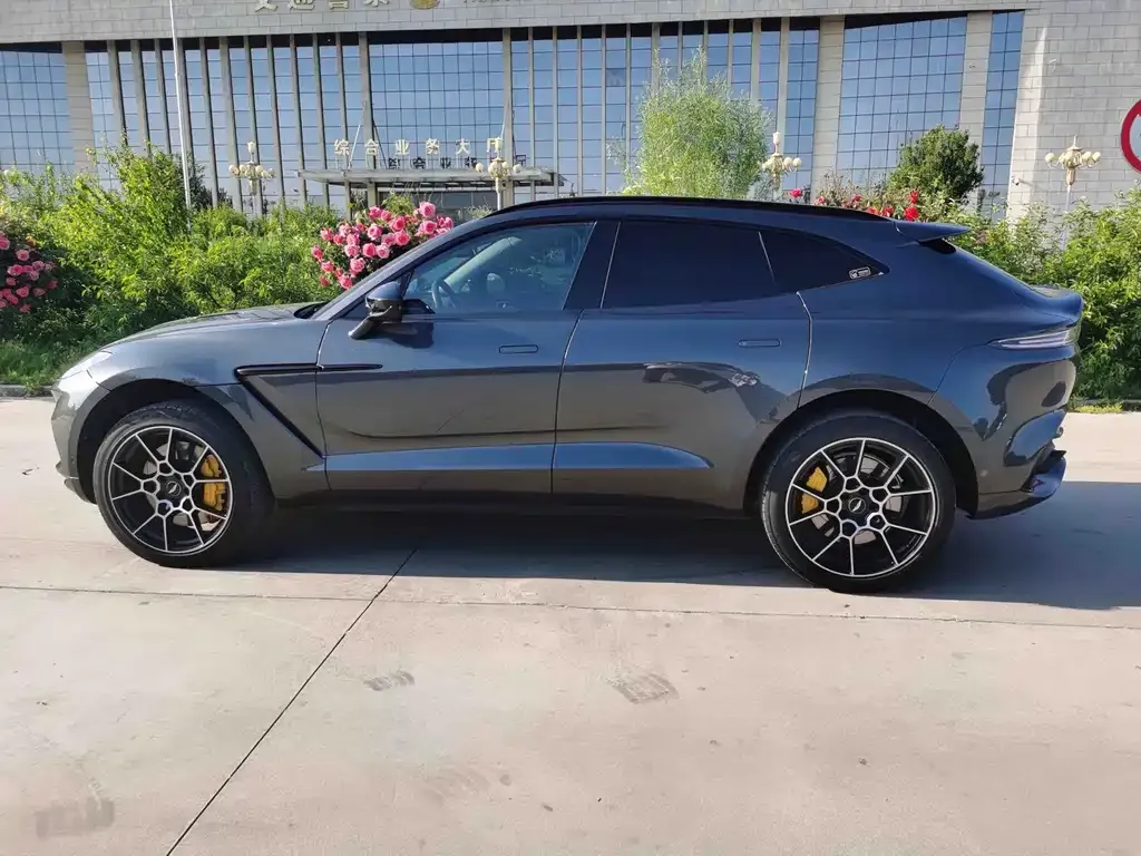 Aston Martin DBX 2021 из CN, фото 9