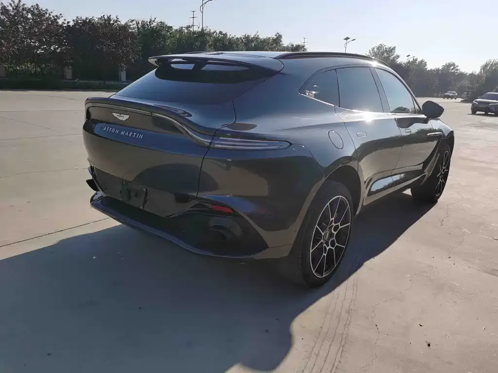 Aston Martin DBX 2021 из CN, фото 6