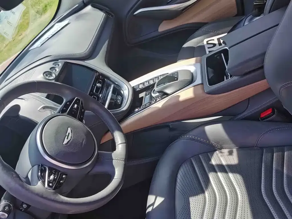 Aston Martin DBX 2021 из CN, фото 5