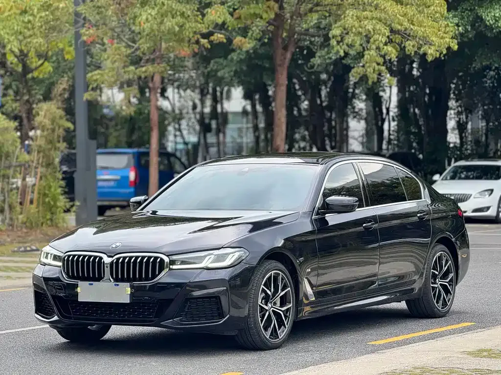 BMW 5 Series 2023 из CN, фото 1