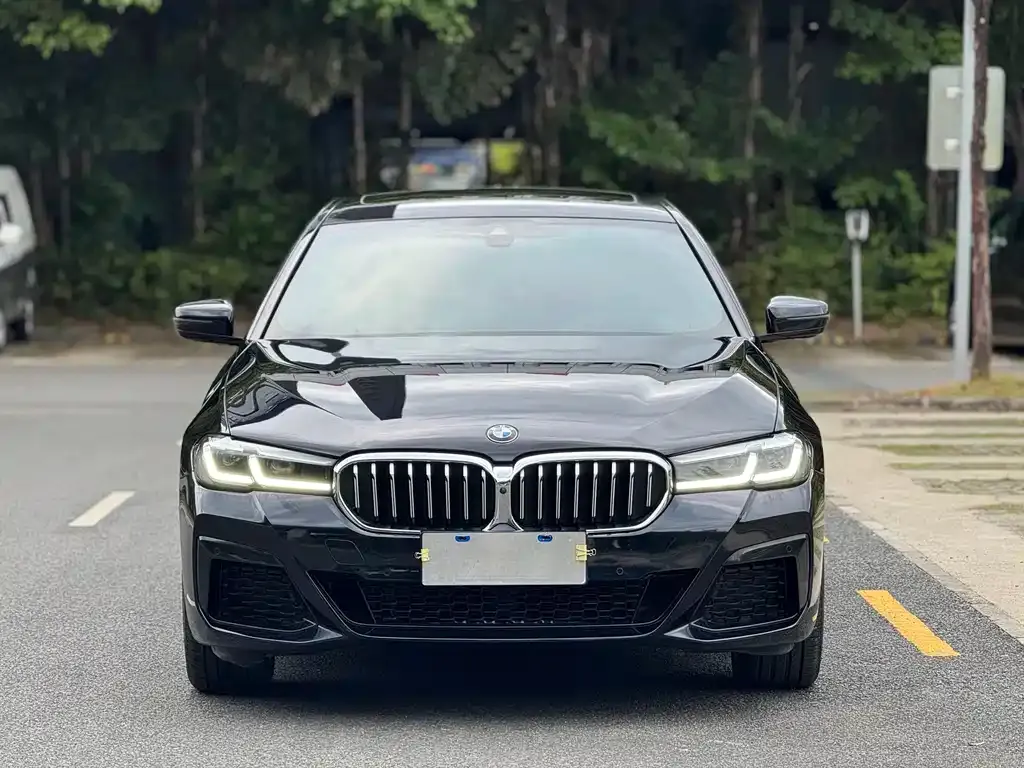 BMW 5 Series 2023 из CN, фото 2