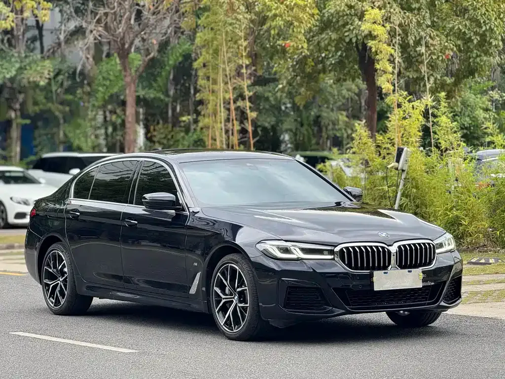 BMW 5 Series 2023 из CN, фото 10