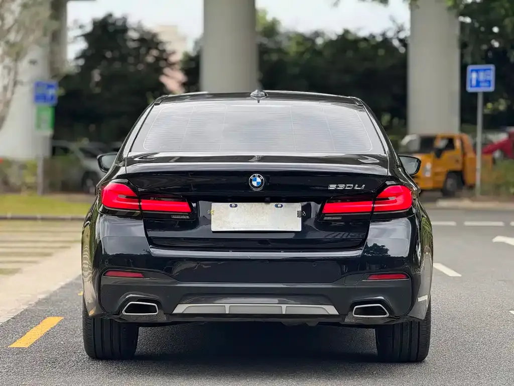 BMW 5 Series 2023 из CN, фото 3