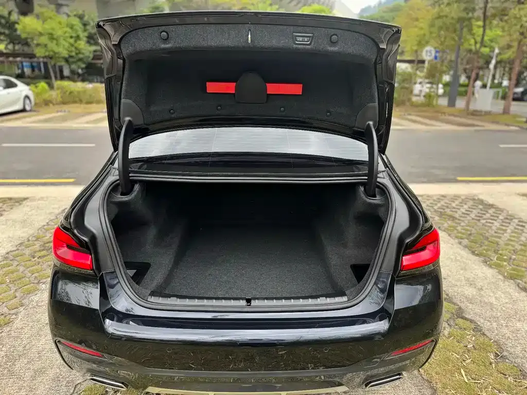 BMW 5 Series 2023 из CN, фото 6