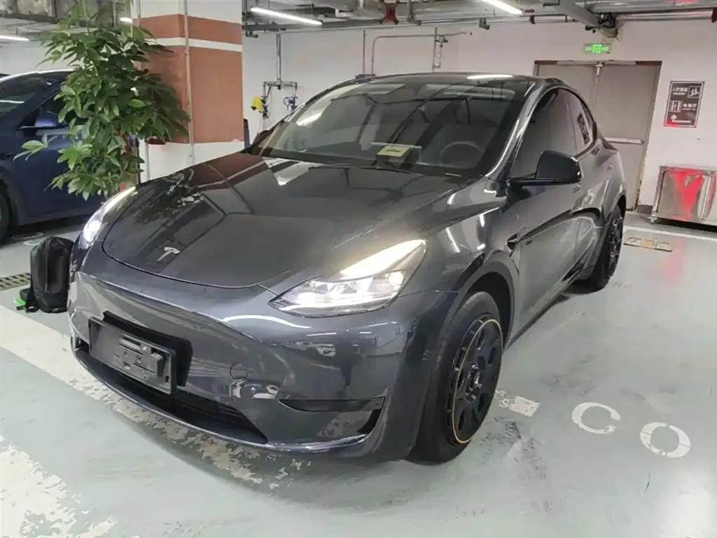 Tesla Model Y — фото 7
