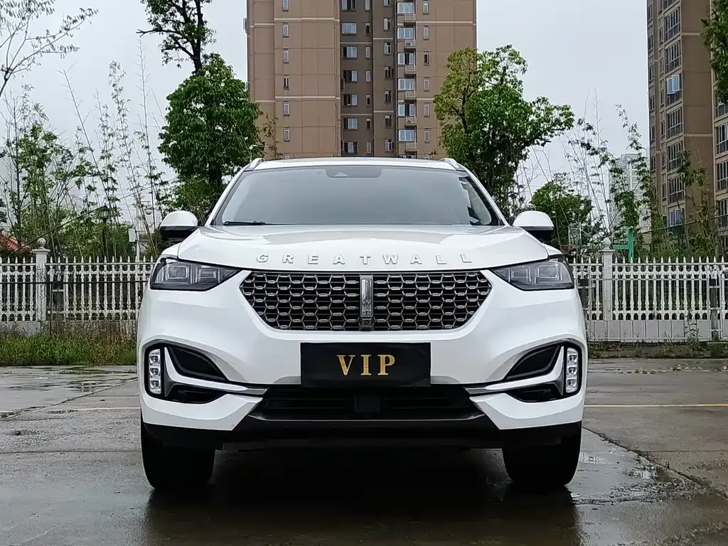 Wey VV6 2021 из CN, фото 10
