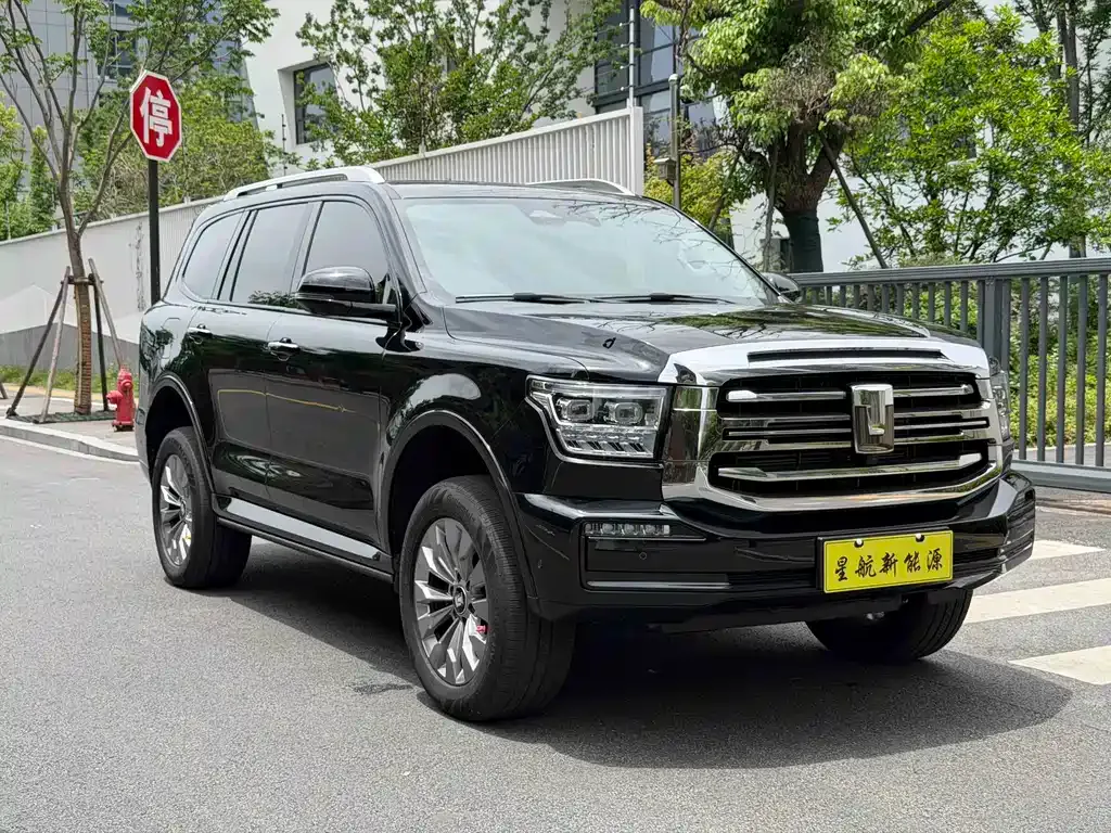 Tank 500 New Energy 2024 из CN, фото 7