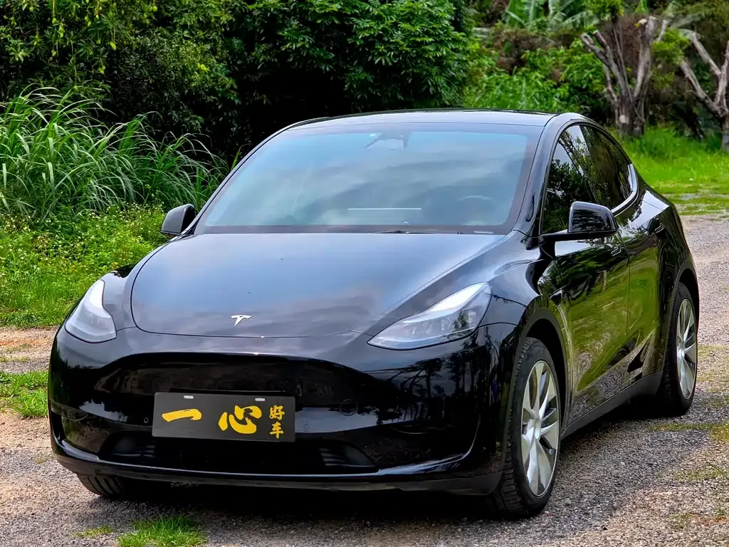 Tesla Model Y — фото 1
