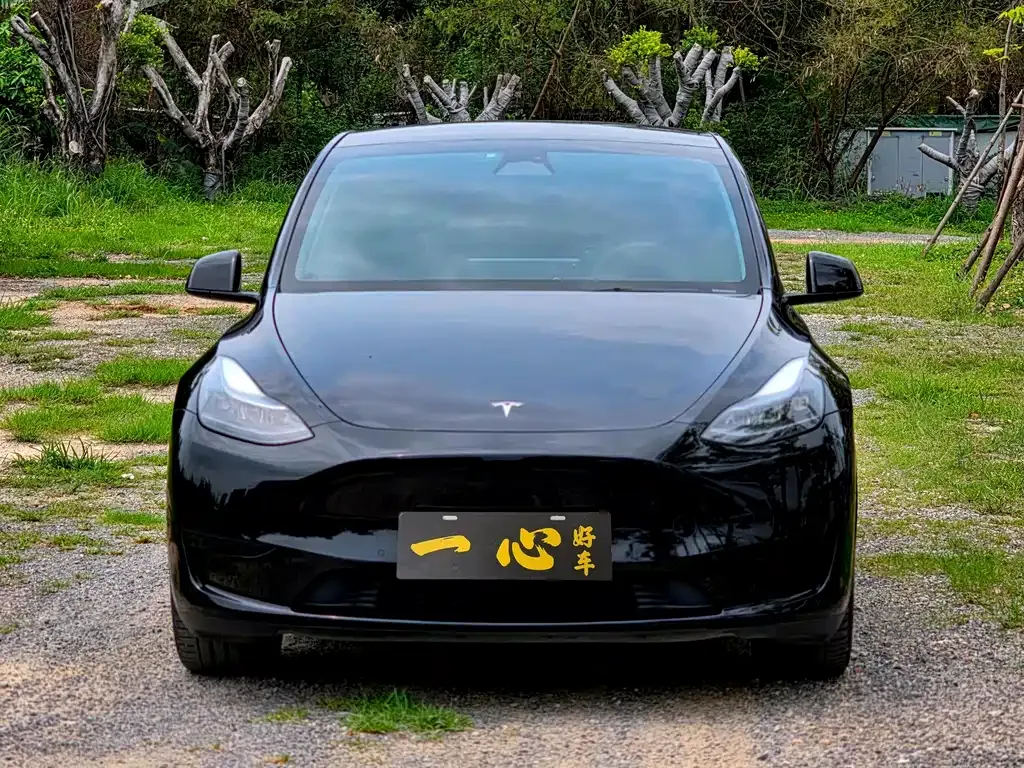 Tesla Model Y — фото 9