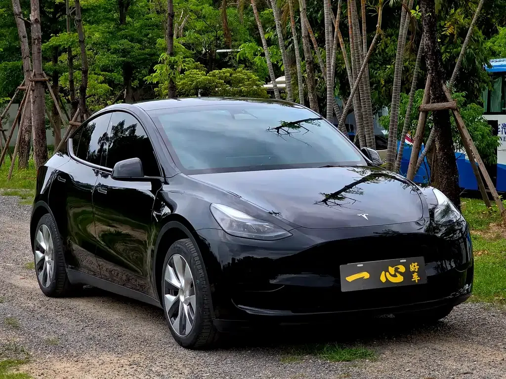 Tesla Model Y — фото 6