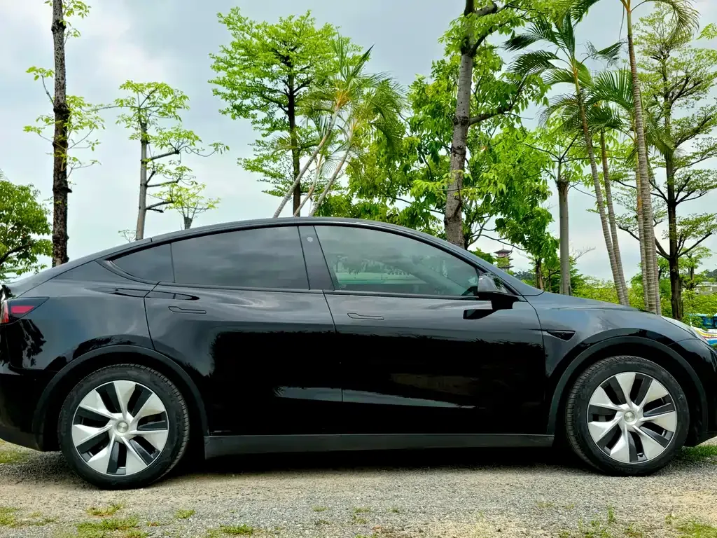 Tesla Model Y — фото 10
