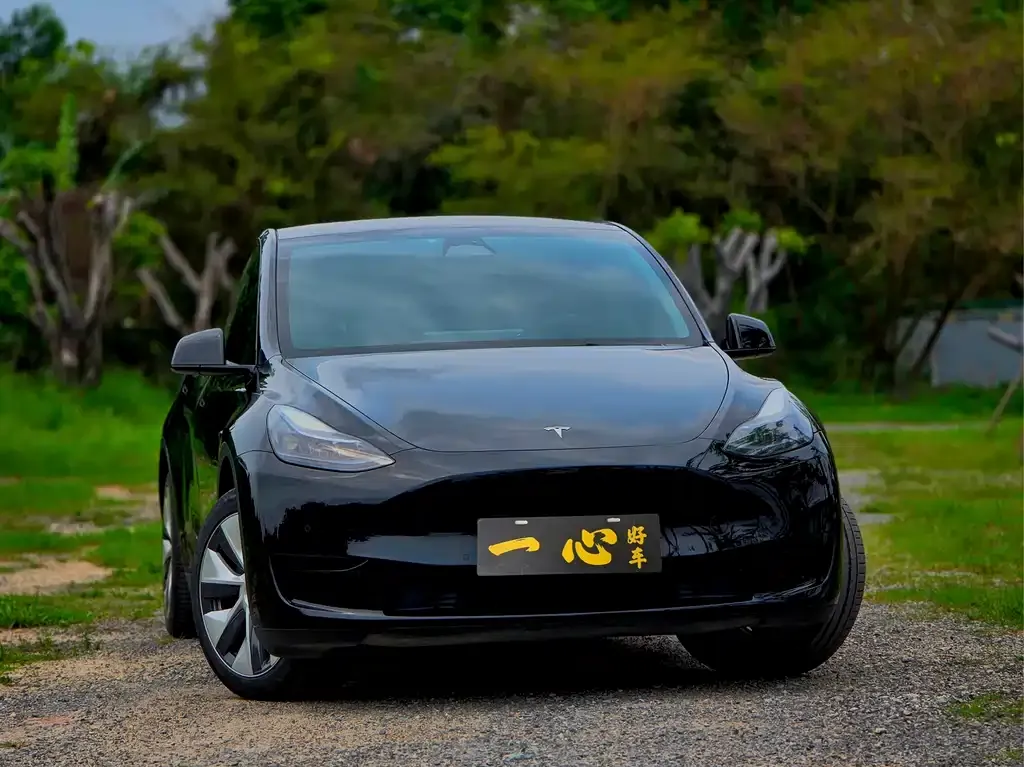 Tesla Model Y — фото 2