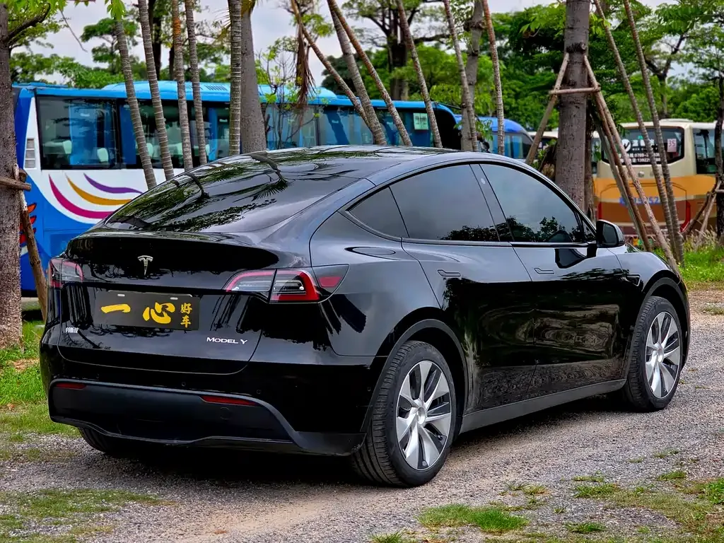 Tesla Model Y — фото 8