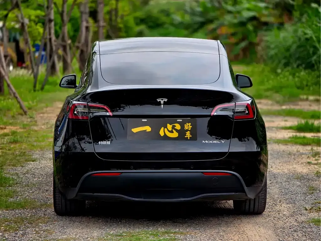 Tesla Model Y — фото 5