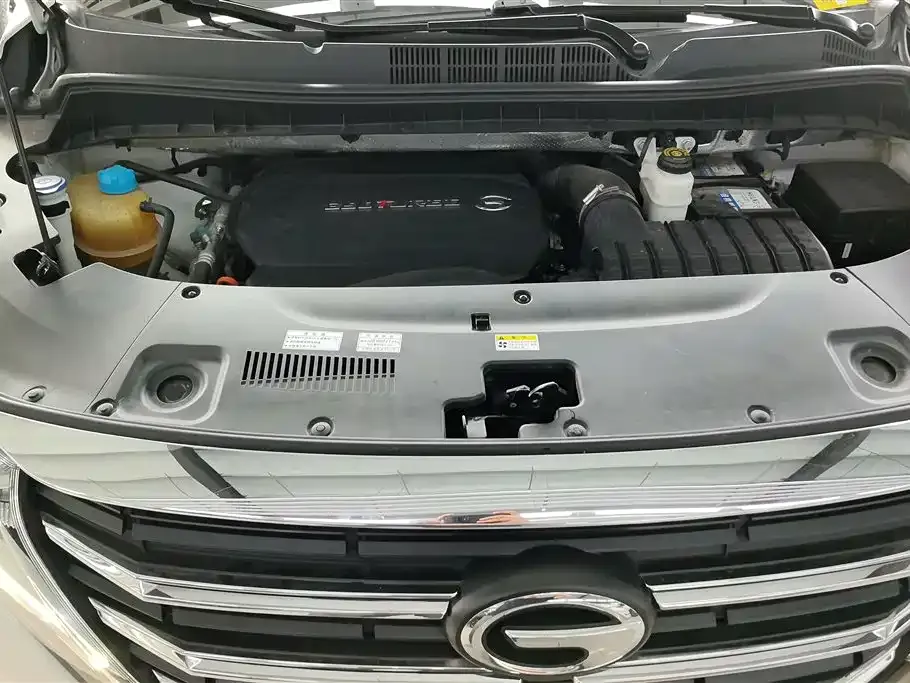 GAC Motor Trumpchi M8 2021 из CN, фото 9