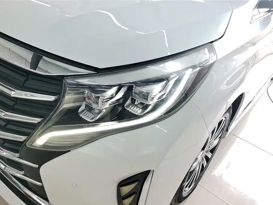 GAC Motor Trumpchi M8 2021 из CN, фото 10