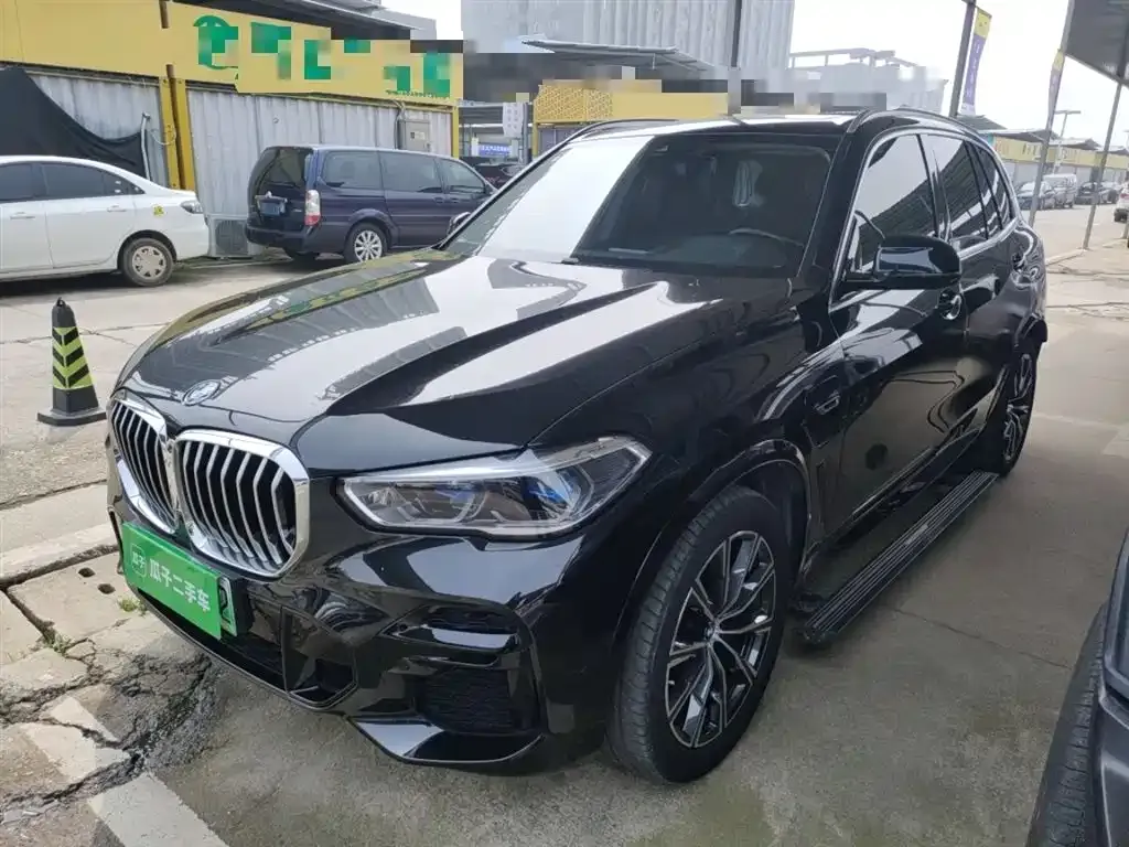 BMW X5 New Energy (Import)