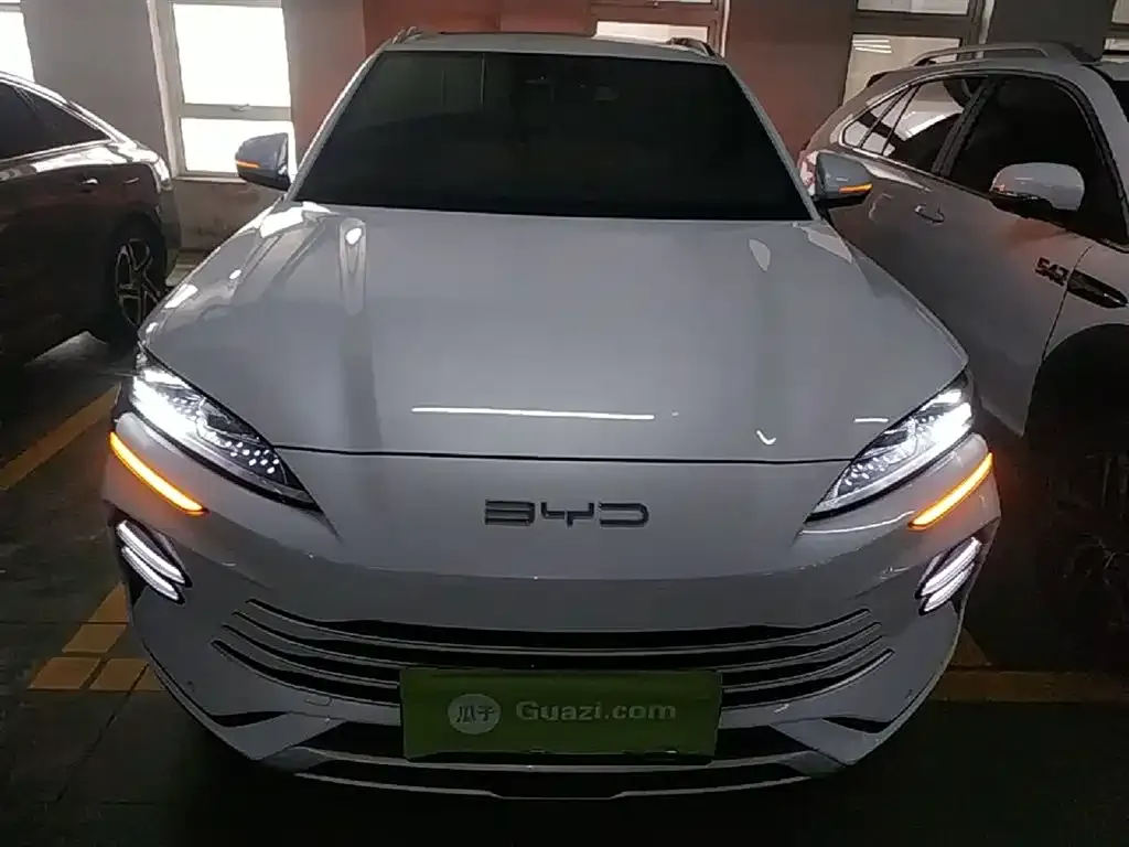 BYD PLUS New Energy 2024 из CN, фото 4
