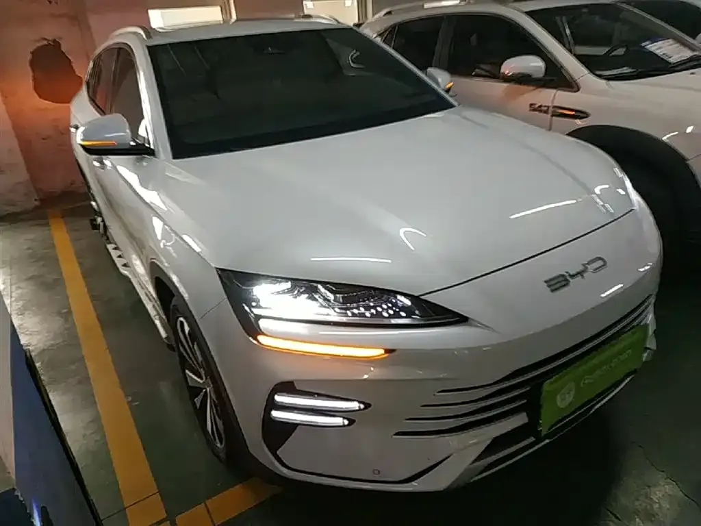 BYD PLUS New Energy 2024 из CN, фото 3
