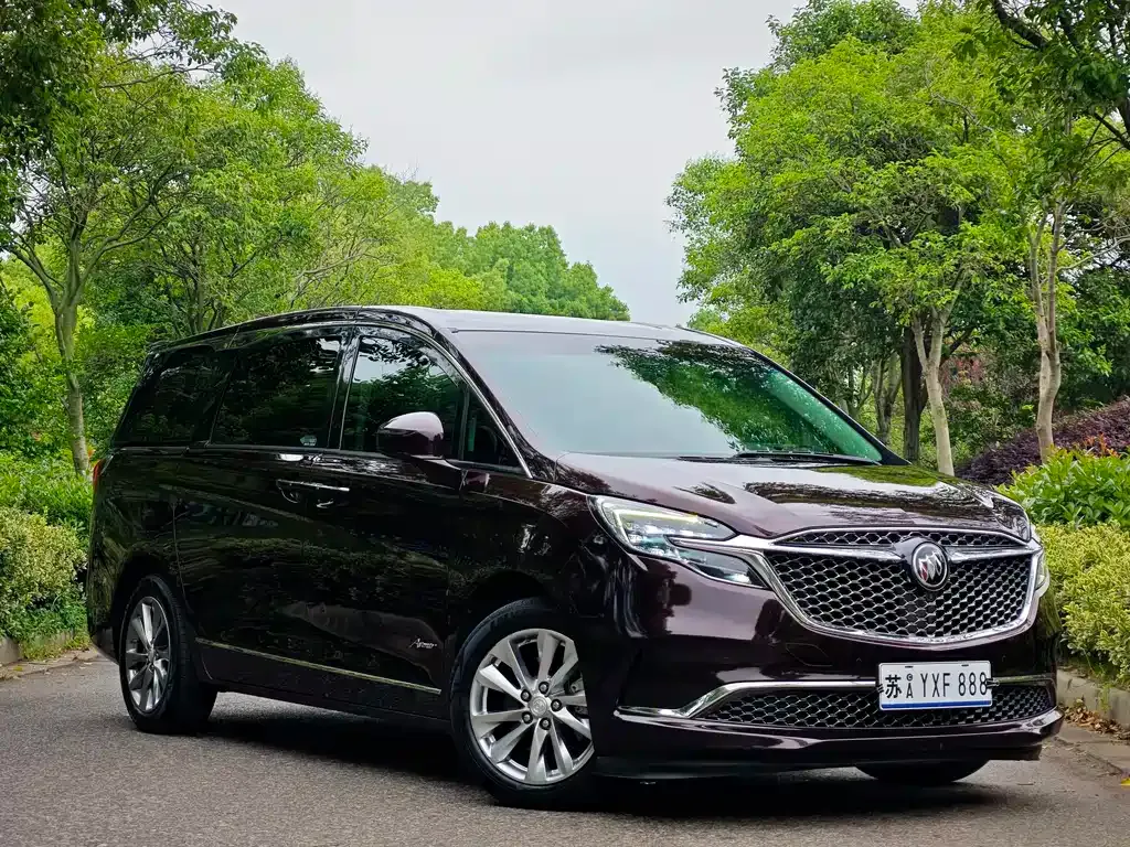 Buick GL8 2021 из CN, фото 8