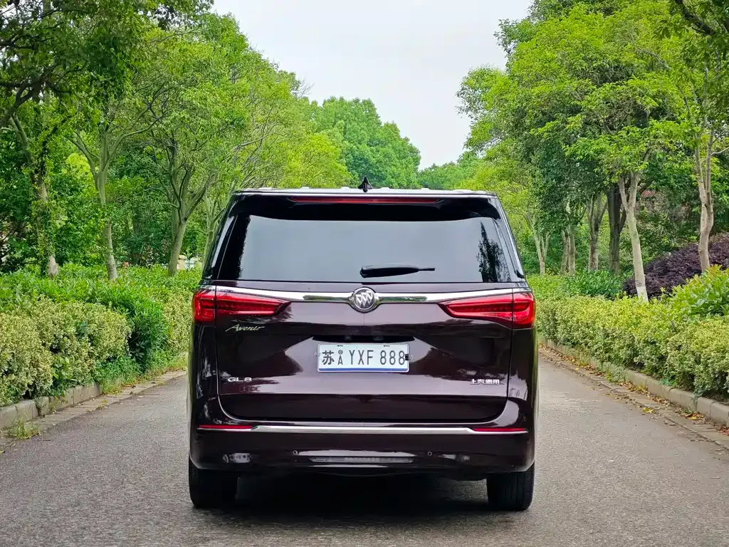 Buick GL8 2021 из CN, фото 10