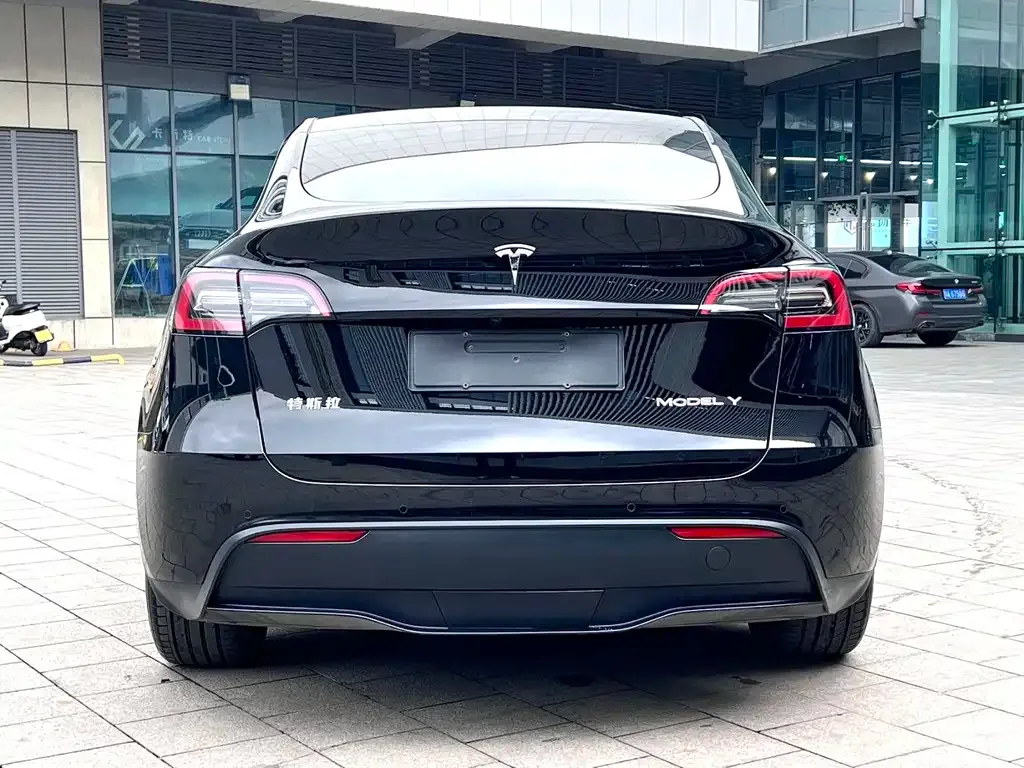 Tesla Model Y — фото 8