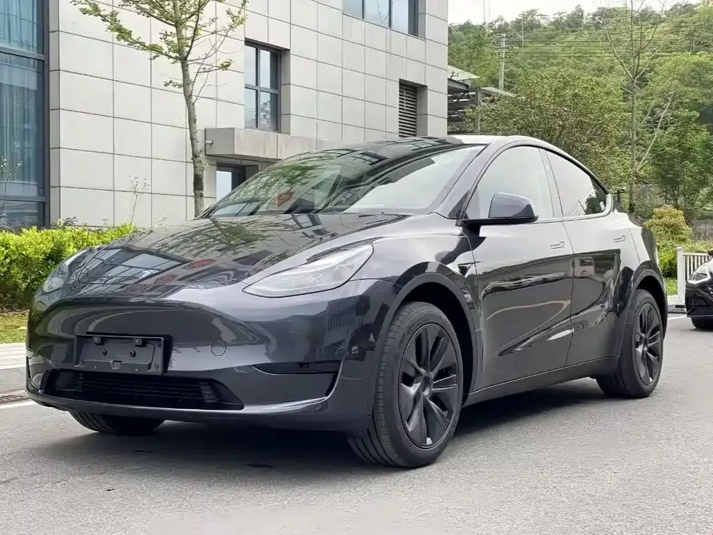 Tesla Model Y — фото 1