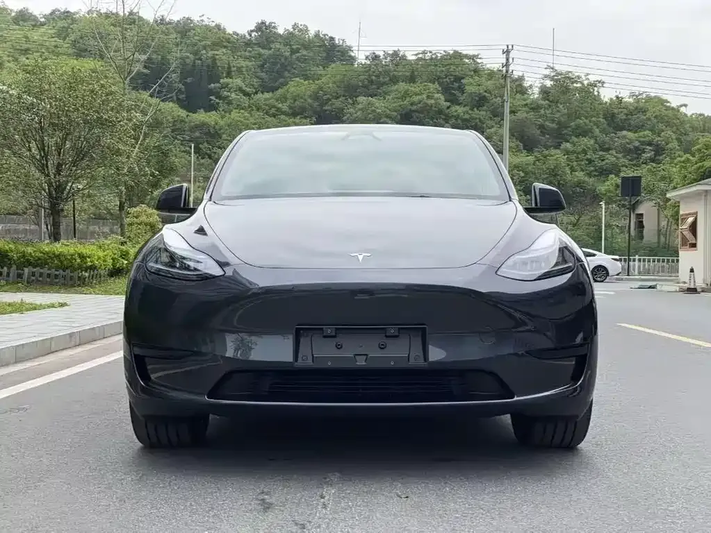 Tesla Model Y — фото 9
