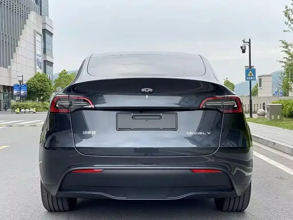 Tesla Model Y — фото 8