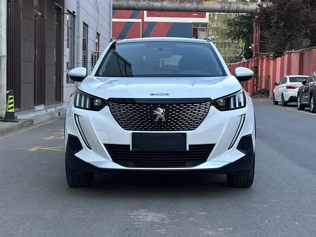 Peugeot 2008 2022 из CN, фото 6