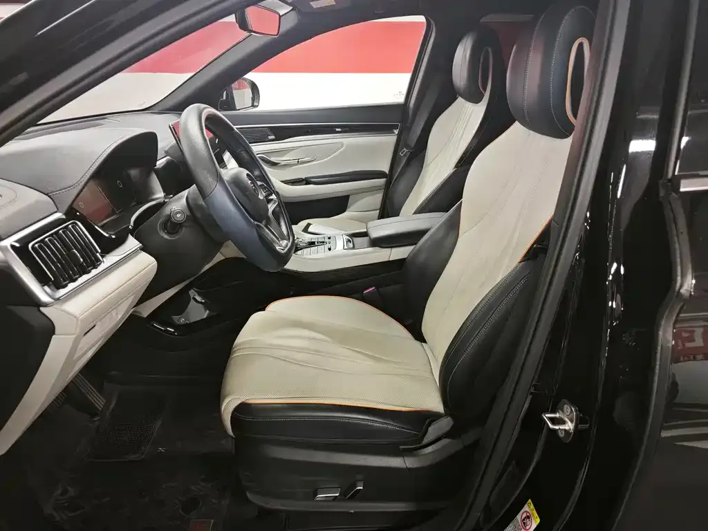 BYD PLUS New Energy — фото 10