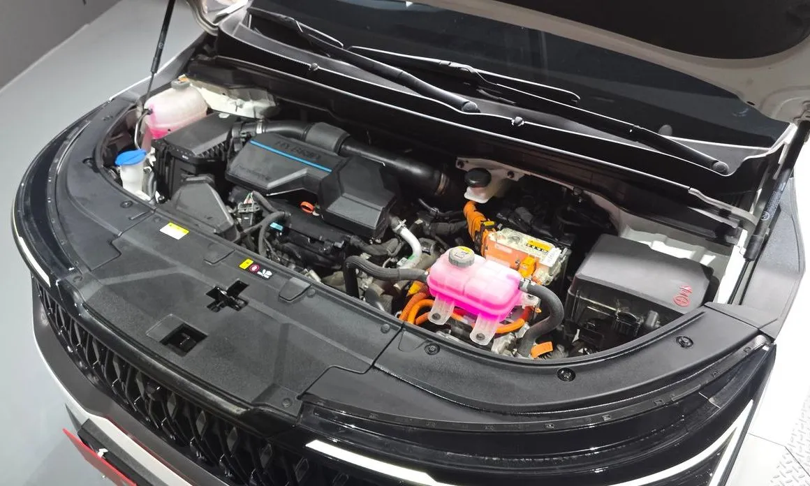 Kia Carnival 2024 из KR, фото 8