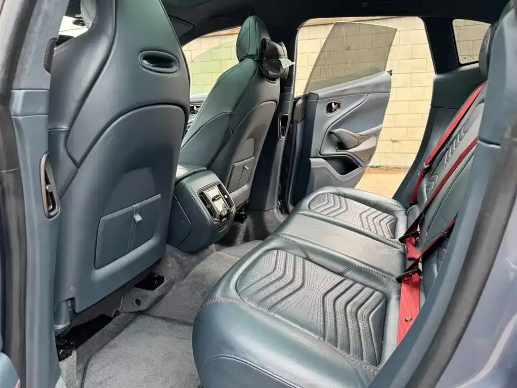 Aston Martin DBX 2021 из CN, фото 8