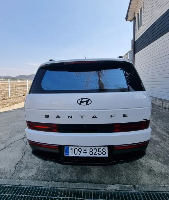 Hyundai Santafe 2025 из KR, фото 5