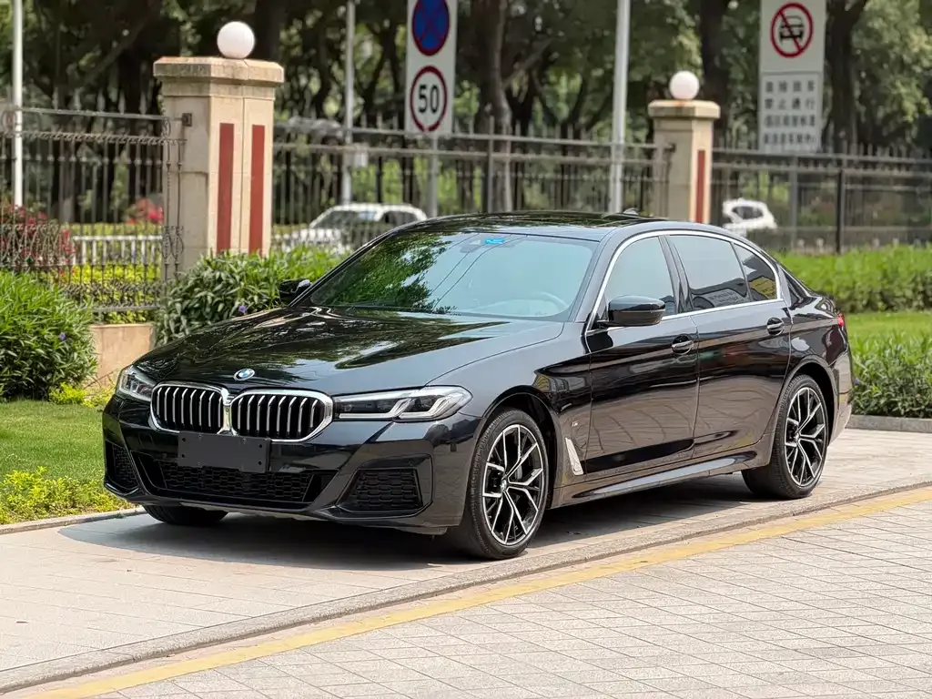 BMW 5 Series 2021 из CN, фото 1