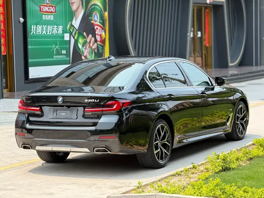 BMW 5 Series 2021 из CN, фото 5