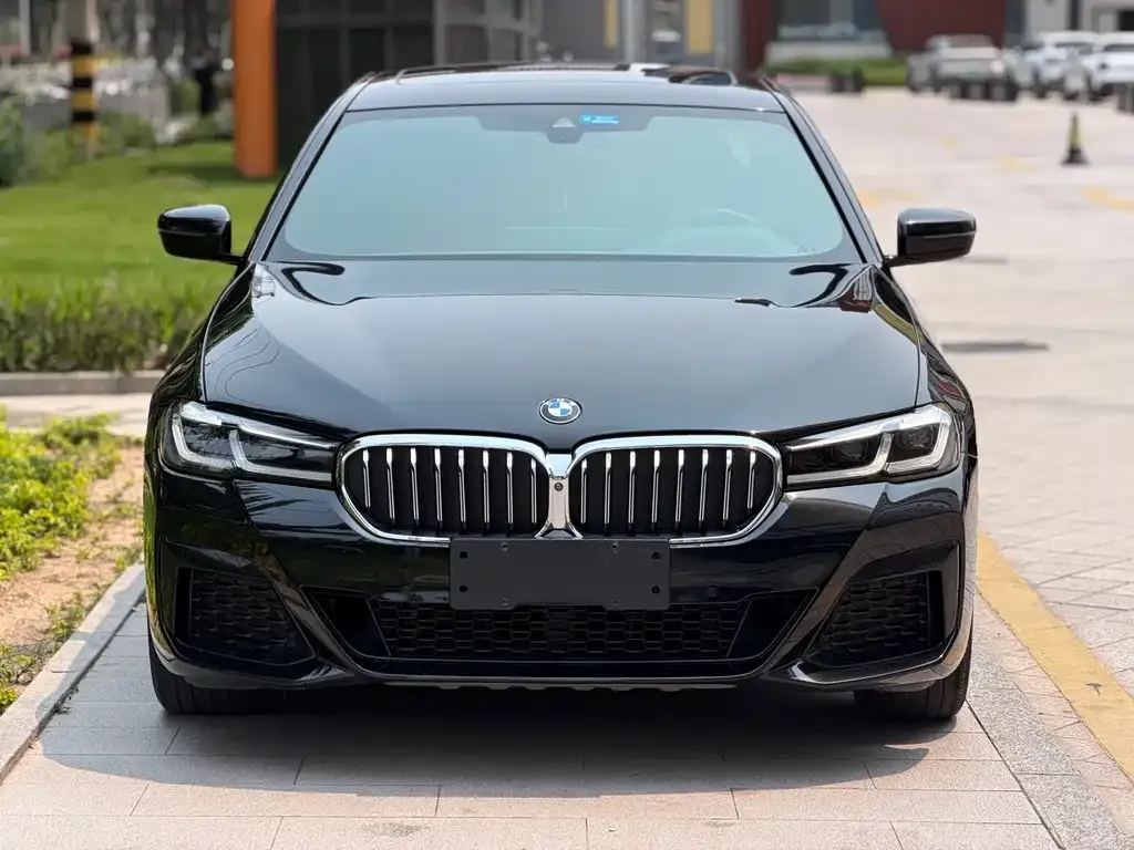 BMW 5 Series 2021 из CN, фото 2