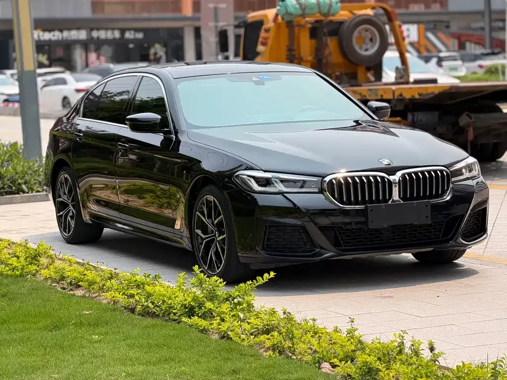 BMW 5 Series 2021 из CN, фото 8