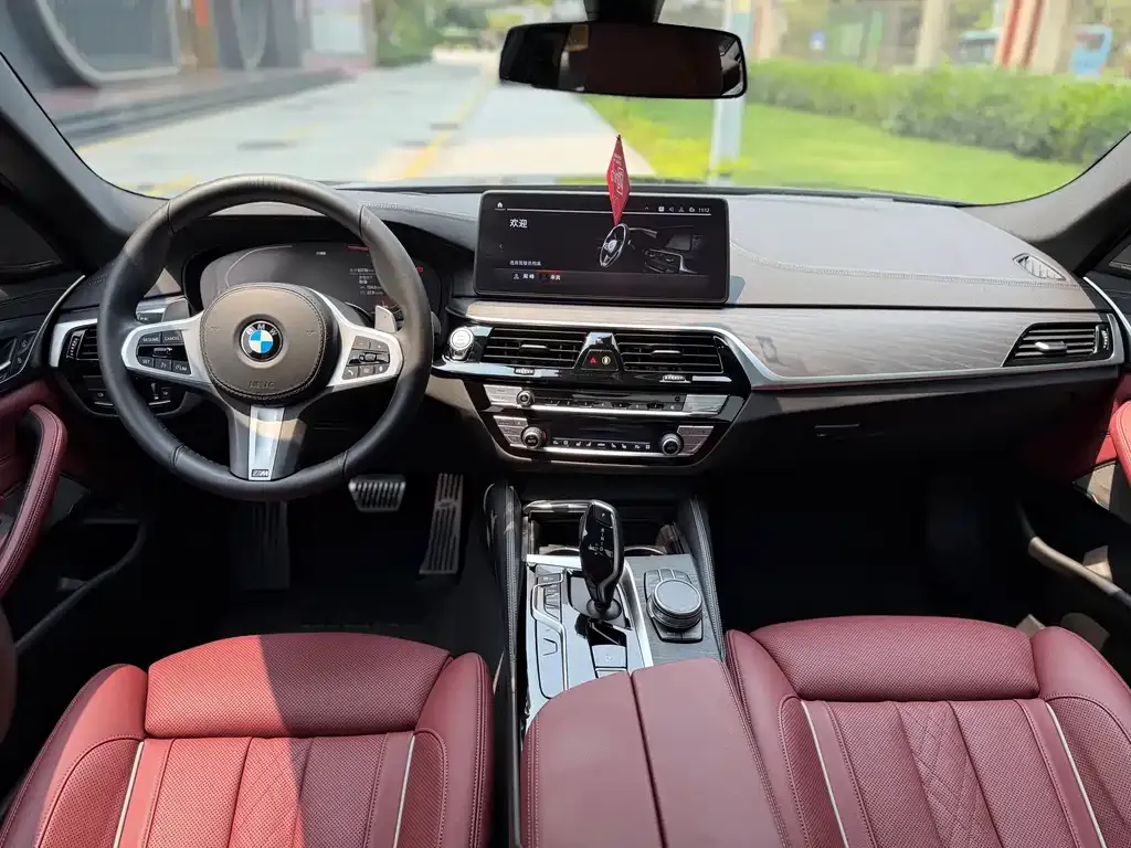 BMW 5 Series 2021 из CN, фото 4