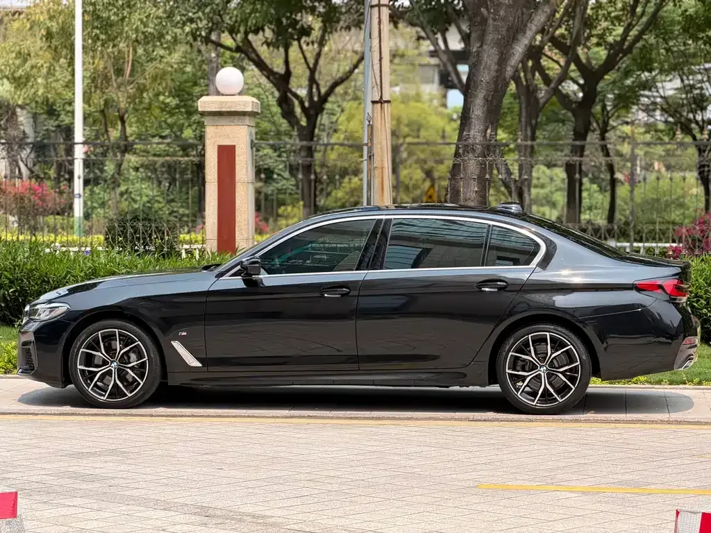 BMW 5 Series 2021 из CN, фото 9