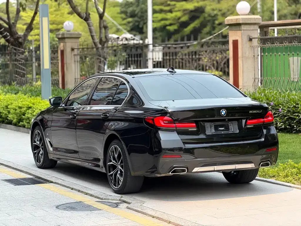 BMW 5 Series 2021 из CN, фото 10