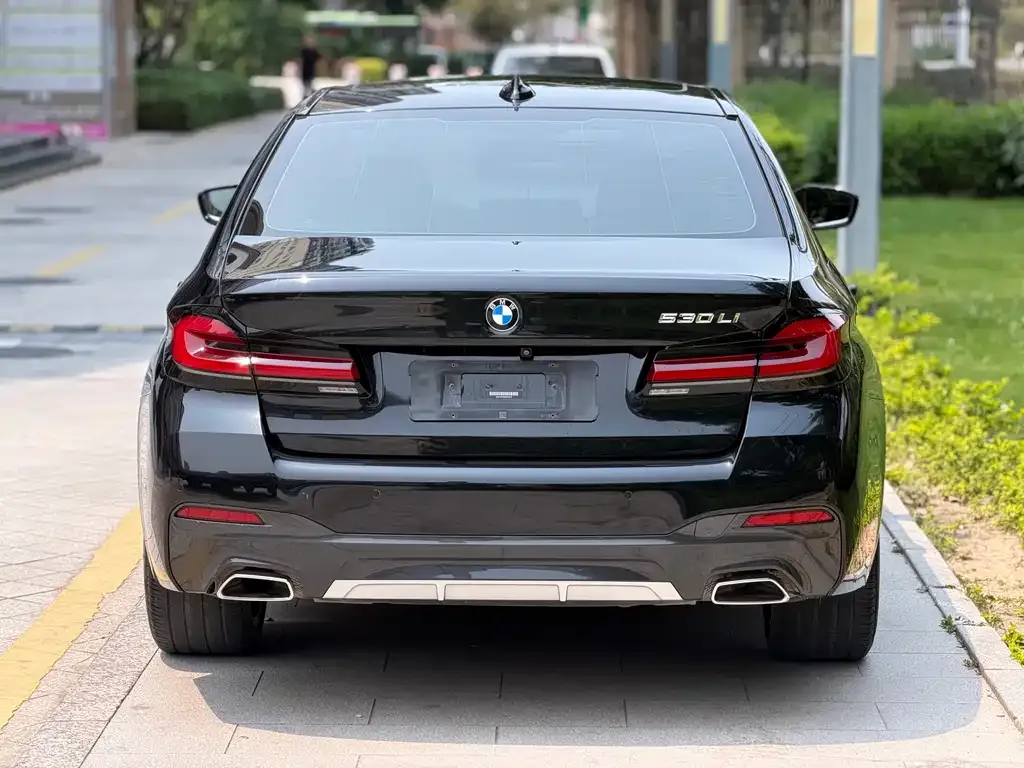 BMW 5 Series 2021 из CN, фото 6