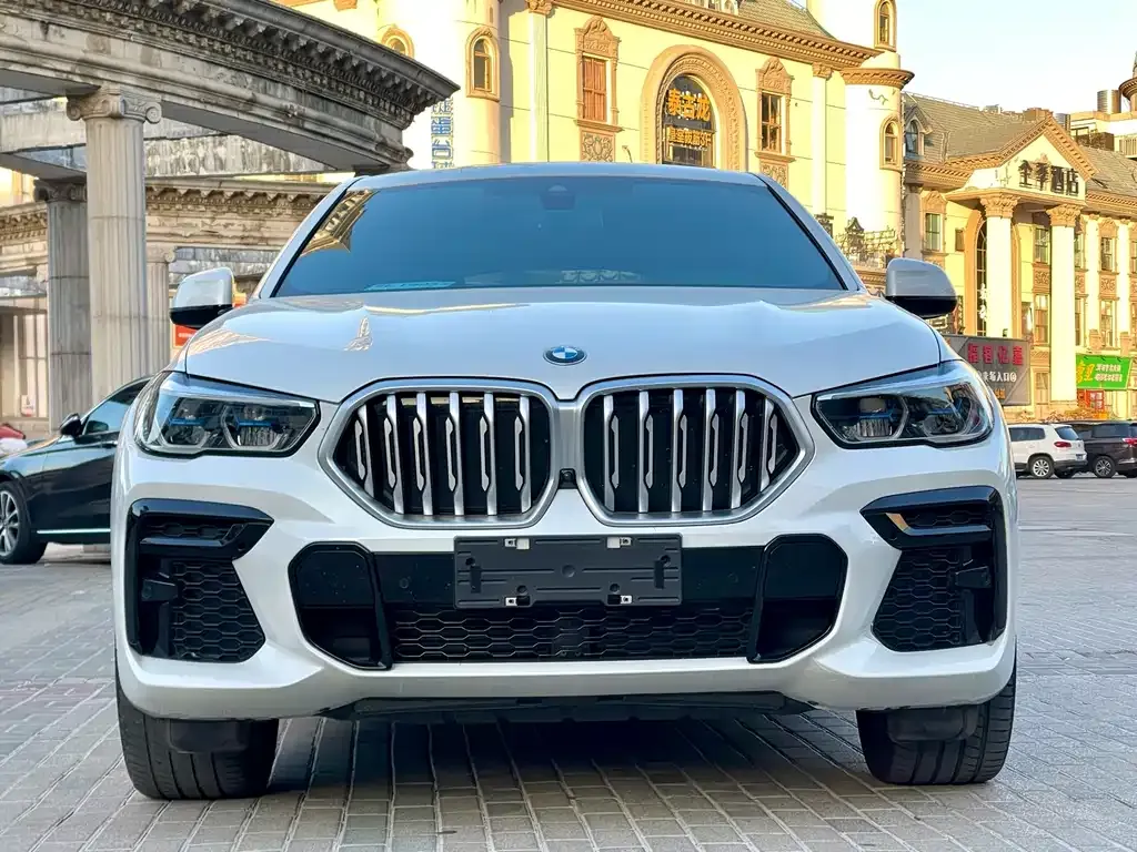 BMW X6 — фото 1