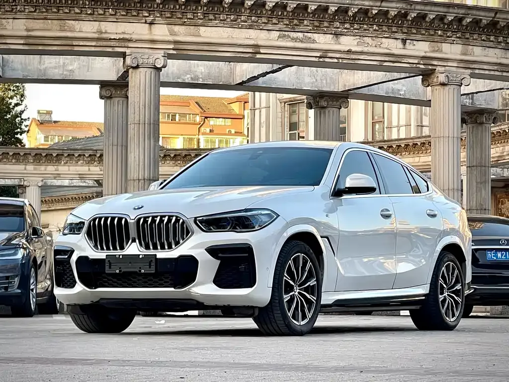 BMW X6 — фото 10