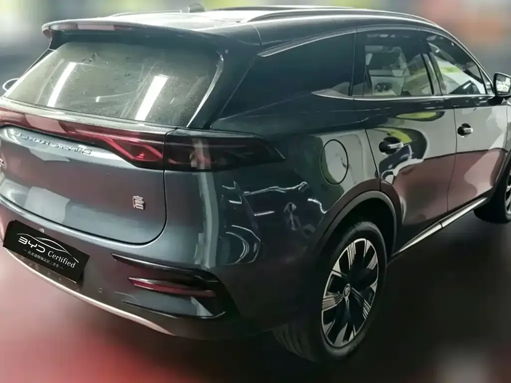 BYD Tang New Energy 2024 из CN, фото 6