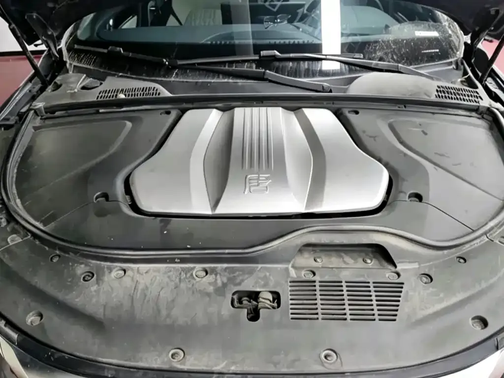 BYD Tang New Energy 2024 из CN, фото 5