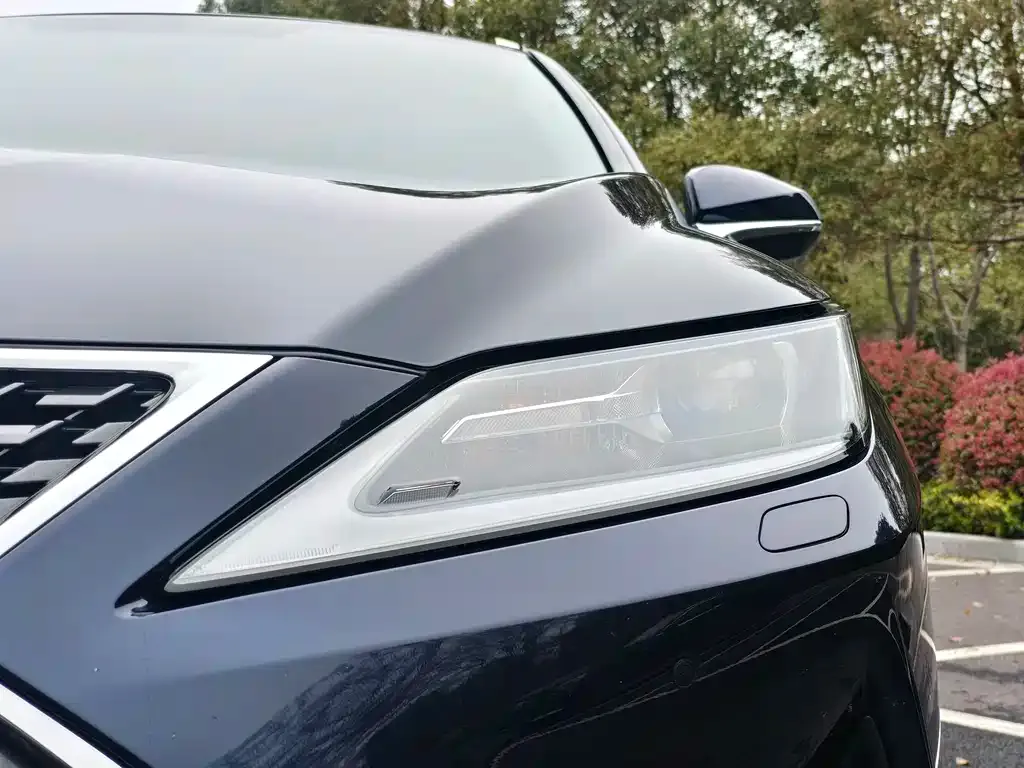 Lexus RX — фото 2
