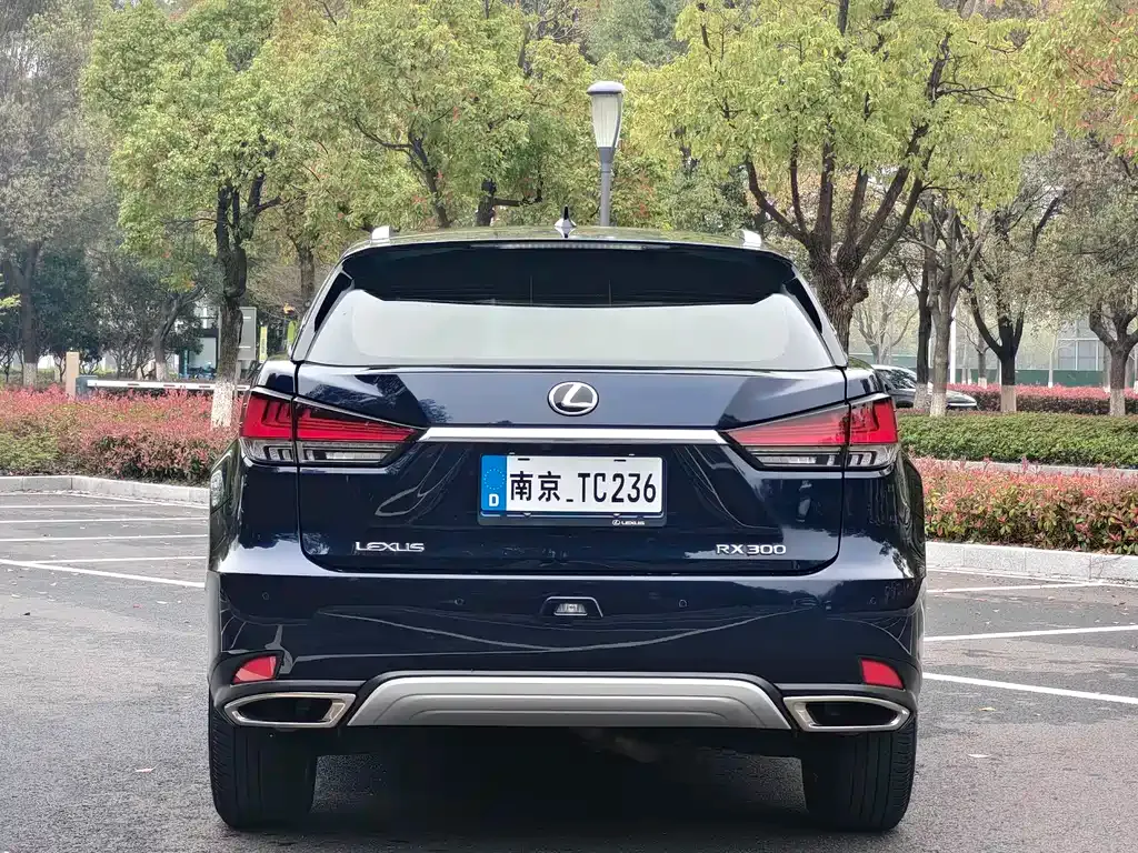 Lexus RX — фото 9