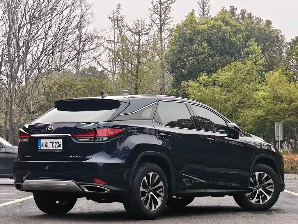 Lexus RX — фото 8